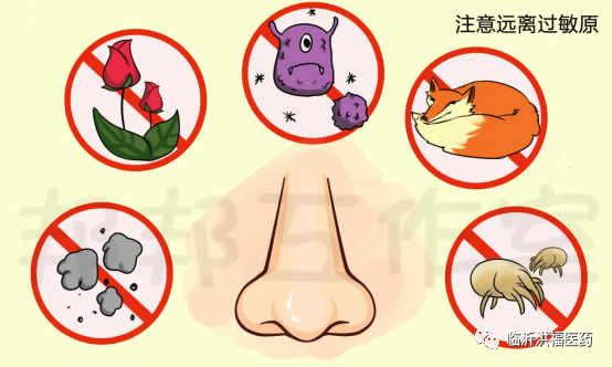 1668212257528454.png 6.png